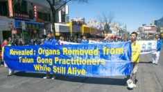Il est temps de rendre illégal le « tourisme de transplantation »