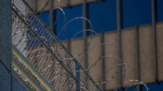 Perpignan : un détenu s’emmêle dans les barbelés de la prison en voulant récupérer des colis