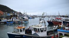 La justice de l’UE confirme l’interdiction de la pêche électrique