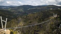 Portugal : inauguration d’un pont pédestre suspendu le plus long du monde