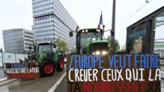 Strasbourg : plus d’un millier de tracteurs devant le Parlement européen contre la future Politique agricole commune (PAC)