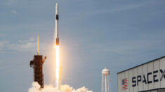 Vidéo : SpaceX a décollé avec le Français Thomas Pesquet vers la Station spatiale internationale