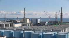 Japon : l’eau de Fukushima sera rejetée à la mer après traitement