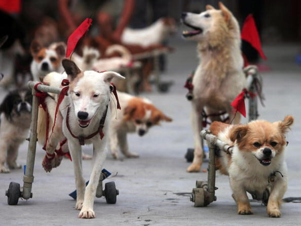 Illustration   (China Photos/Getty Images)