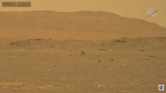 Mars: la Nasa a réussi à faire voler son hélicoptère Ingenuity qui a fourni ses premières images