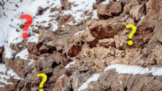 Pouvez-vous repérer le léopard des neiges parfaitement camouflé dans ce paysage de montagne « stérile » ?