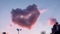 Un photographe capture un nuage rose en forme de cœur dans le ciel de Paris