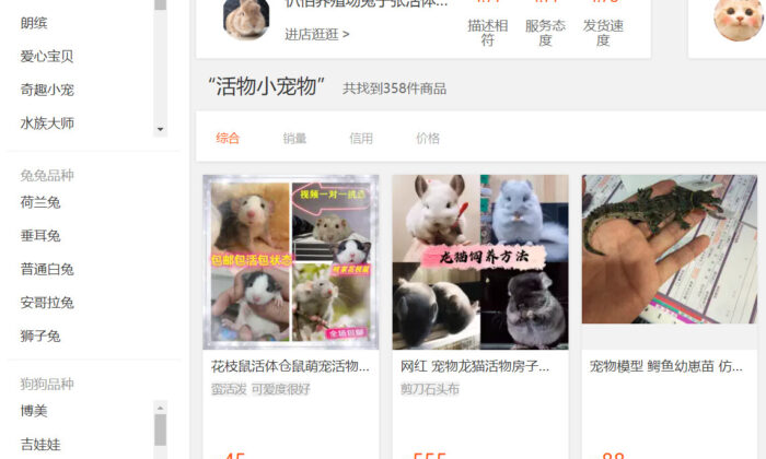 Un bureau de livraison de la province chinoise du Sichuan a récemment été surpris en train de livrer 156 boîtes d'animaux de compagnie, dont des chats et des chiens, en affranchissement express ordinaire. L'image montre une page de vente d'animaux de compagnie en direct sur Taobao, une plateforme appartenant à Alibaba, la plus grande société de commerce électronique de Chine. (Capture d'écran via The Epoch Times)