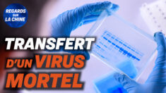 Focus sur la Chine – Une agence a envoyé des virus au laboratoire de Wuhan