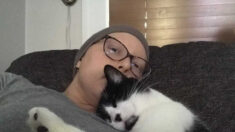 Une femme affirme que son chat a contribué à lui sauver la vie après avoir détecté un cancer du sein