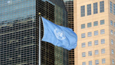 Gaza : le Conseil de sécurité de l’ONU appelle au respect « complet » du cessez-le-feu