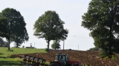 Belgique : un agriculteur agrandit son terrain… et repousse la frontière avec la France