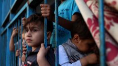 États-Unis : une sénatrice s’inquiète de l’arrivée probable de réfugiés en provenance de Gaza