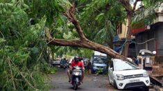 Inde: au moins 21 morts et 96 disparus sur le passage du cyclone Tauktae