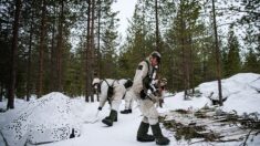Dans le nord suédois, des soldats s’entraînent au combat arctique