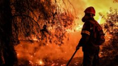 Grèce: les pompiers luttent encore contre l’incendie de Geraneia, « catastrophe écologique »
