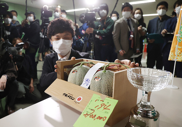 Deux melons Yubari ont été vendus plus de  20 000 euros lors de la première vente aux enchères de Sapporo, le 24 mai 2021. (Photo : STR/JIJI PRESS/AFP via Getty Images)