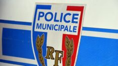 Le Havre : garée sur un stationnement interdit, une voiture de police municipale se prend un PV