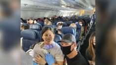 Une femme dans un avion, qui ne savait pas qu’elle était enceinte, accouche en vol avec l’aide d’un médecin et des infirmières à bord