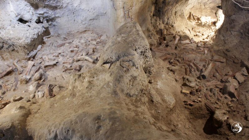 Des restes fossilisés, censés appartenir à des hommes de Néandertal, sont vus sur un site préhistorique dans la grotte de Guattari à San Felice Circeo, en Italie, en 2021. (Ministère de la Culture d'Italie)
