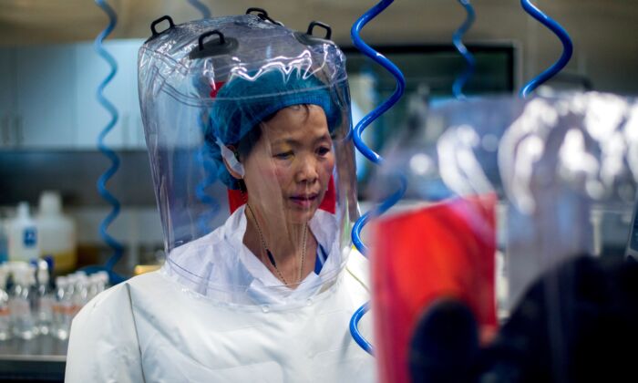 La virologue chinoise Shi Zhengli est vue à l'intérieur du laboratoire P4 dans la ville de Wuhan, dans la province du Hubei, le 23 février 2017. (Johannes Eisele/AFP via Getty Images)
