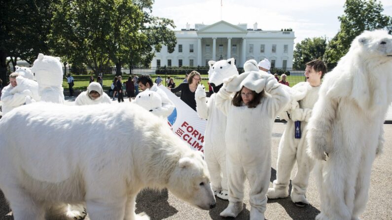Des militants retirent les costumes d'ours polaires sur Pennsylvania Avenue devant la Maison-Blanche après une manifestation à Washington, le 26 septembre 2013. L'ours polaire est devenu un symbole des préoccupations liées au réchauffement climatique. (Brendan Smialowski/AFP/Getty Images)