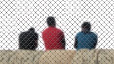 Grèce : un réfugié syrien condamné à 52 ans de prison pour « entrée illégale » et pour avoir facilité des entrées illégales dans le pays