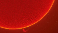 Un photographe superpose 100.000 images du Soleil pour créer une photo ultra nette de la surface solaire à couper le souffle !