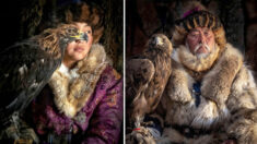Un photographe se rend en Mongolie pour saisir les chasseurs à l’aigle d’une ancienne tribu, les derniers de la sorte
