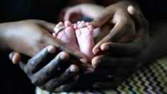 Une Sud-Africaine a accouché de 10 bébés à la fois, un record !