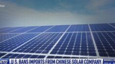 Les États-Unis bloquent les importations de composants solaires venant du travail forcé au Xinjiang