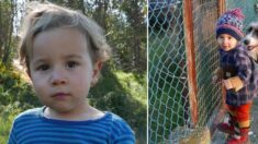 Portugal: 35 heures après sa disparition, le petit Noé, deux ans et demi, a été retrouvé sain et sauf