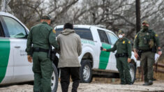Augmentation de 542 % du nombre de délinquants sexuels condamnés et arrêtés à la frontière