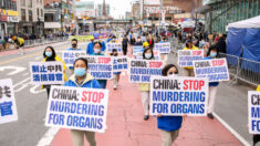 Le Texas adopte une résolution contre le « meurtre sous forme de prélèvement forcé d’organes » perpétré par la Chine communiste