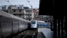 Hauts-de-Seine : un homme malvoyant chute sous un RER et s’en sort indemne