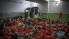 En Syrie, des escrocs profitent du désespoir de familles de prisonniers