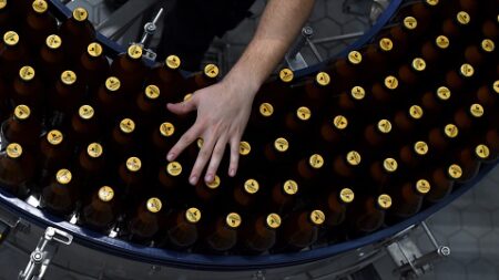 Eure-et-Loir : un couple découvre par hasard que leur bière est primée meilleure bière au monde après avoir participé à une compétition