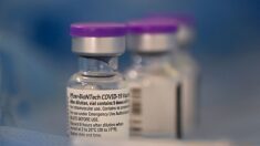Les vaccins Covid de Pfizer et Moderna peuvent fournir une protection « persistante », selon une étude