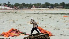 Inde: les flots sacrés du Gange regorgent de morts du Covid-19