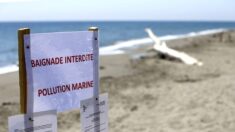 Corse : opération nettoyage sur la côte et en mer après l’arrivée  de micro-boulettes d’hydrocarbure sur des plages