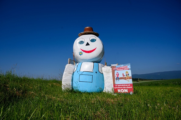 -La Suisse vote dimanche 13 juin une série de sujets brûlants, mesures antiterroristes, lois Covid-19 et propositions pour protéger l'environnement en interdisant les pesticides de synthèse. Photo Fabrice COFFRINI / AFP via Getty Images.