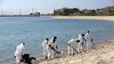 Corse: opération nettoyage sur la côte et en mer après une pollution aux hydrocarbures