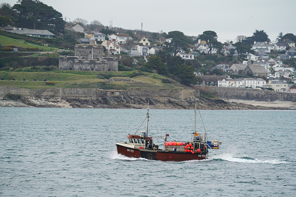 -Les pêcheurs de Cornouailles capturent pour les marchés locaux car les problèmes du Brexit restreignaient les exportations. Photo de Hugh Hastings/Getty Images.