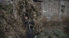 Une nouvelle étude remet en cause le « miracle » de Xi Jinping : l’extrême pauvreté existe en Chine