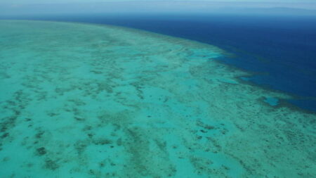 Grande Barrière de corail « en danger » pour l’Unesco, l’Australie prête à contester