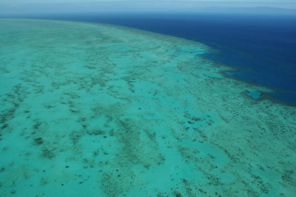 Vue aérienne de la Grande Barrière de Corail à Cairns, en Australie. (Photo de Phil Walter/Getty Images)