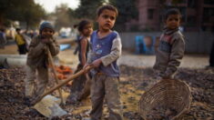 Le travail des enfants dans le monde augmente pour la première fois depuis 20 ans