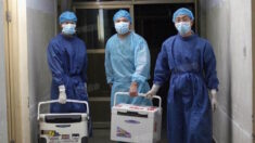 Une vérité tragique : les prélèvements forcés d’organes en Chine