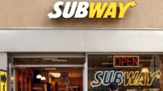 Aucun ADN de thon dans les sandwichs au thon de Subway, selon un laboratoire