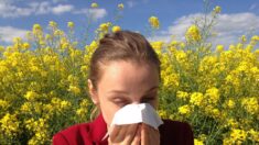 Allergies : la France connaît un pic de pollens de graminées